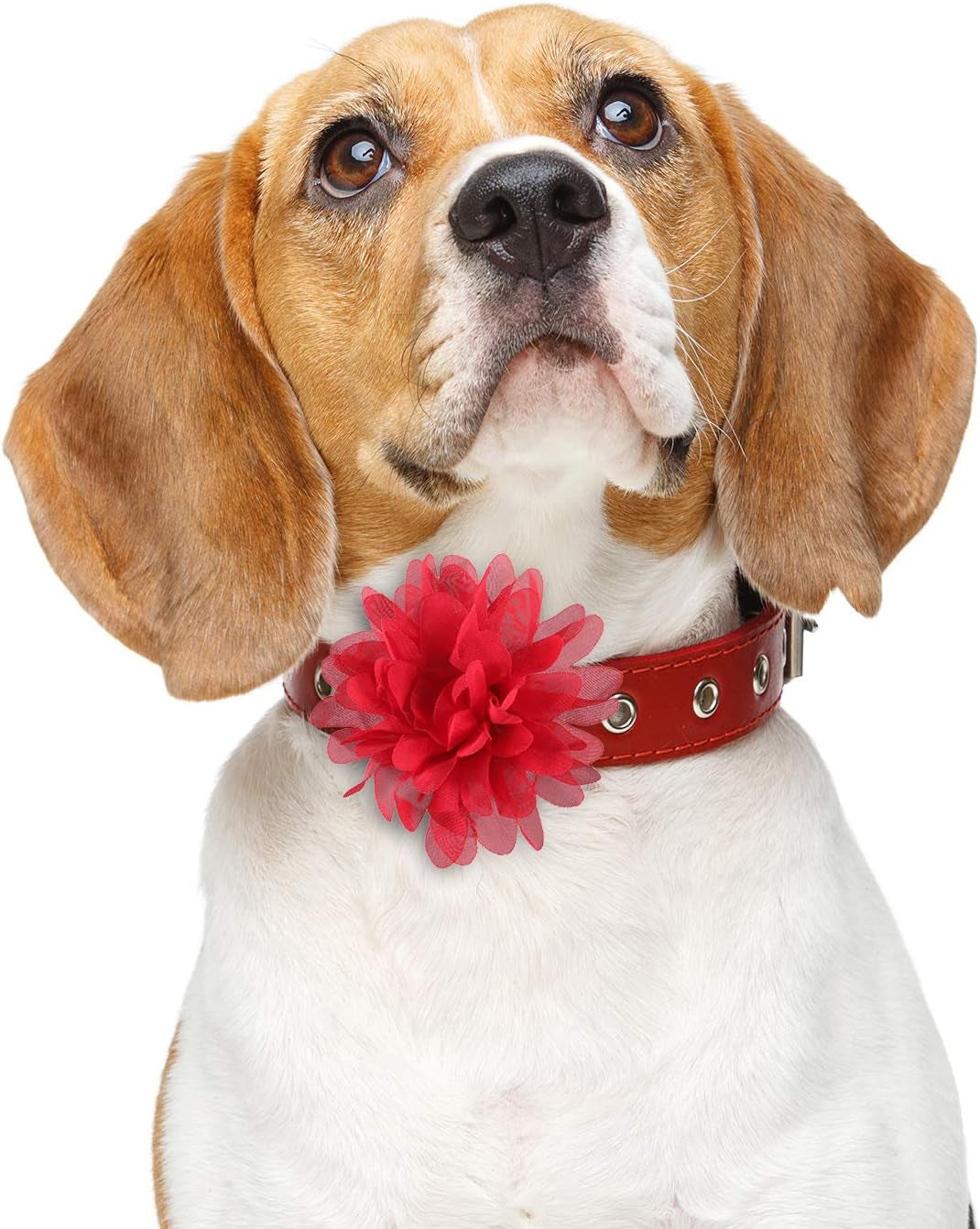 20 Pieces Dog Collar Flowers Pet Flower Bow Ties Multi-Color Dog Charms Flower for Puppy Dog Collar Grooming Accessories (10 Cm/ 4 Inch)